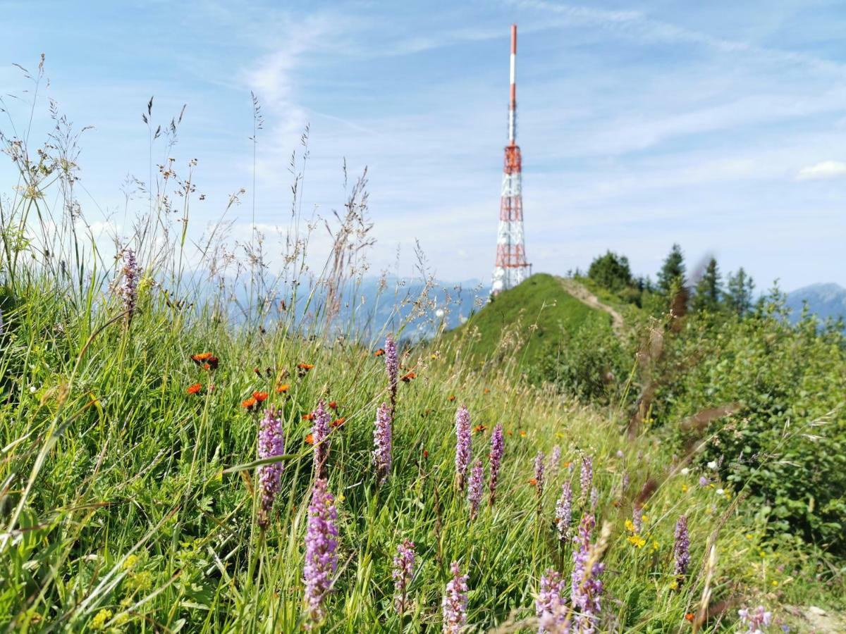 Ferienwohnung Am Eichwald Immenstadt im Allgaeu Luaran gambar