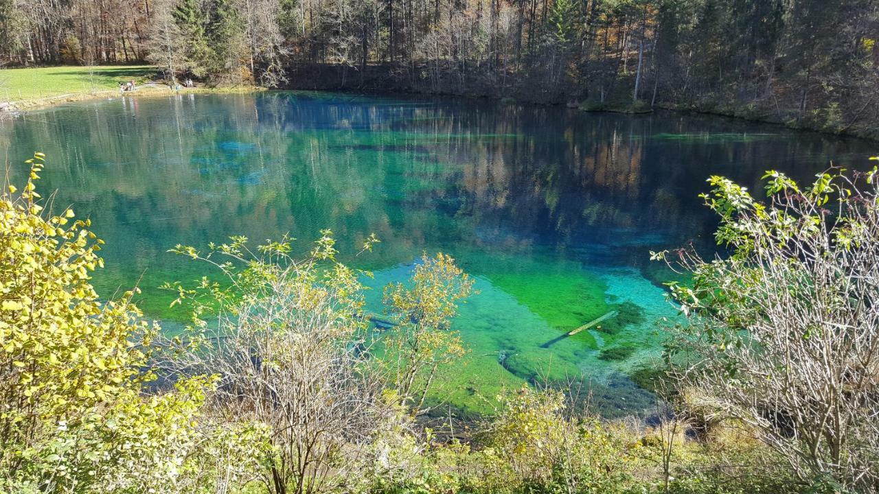 Ferienwohnung Am Eichwald Immenstadt im Allgaeu Luaran gambar