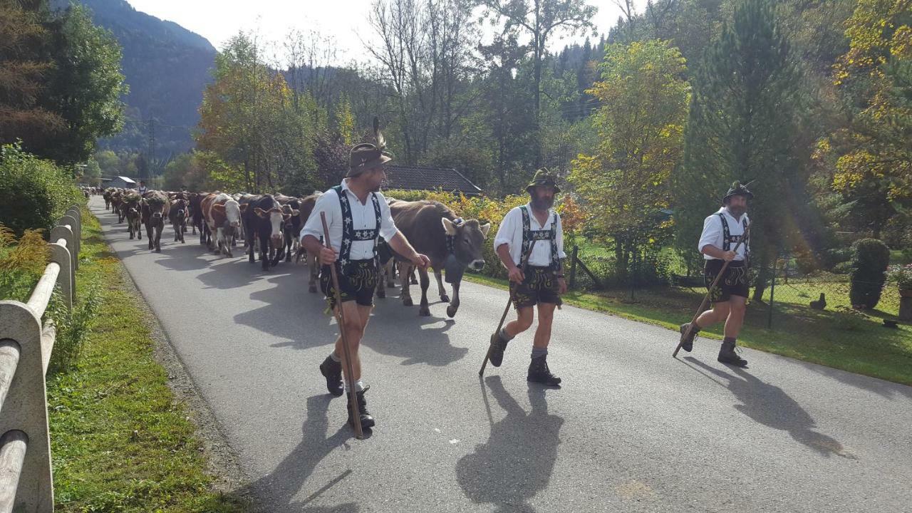 Ferienwohnung Am Eichwald Immenstadt im Allgaeu Luaran gambar